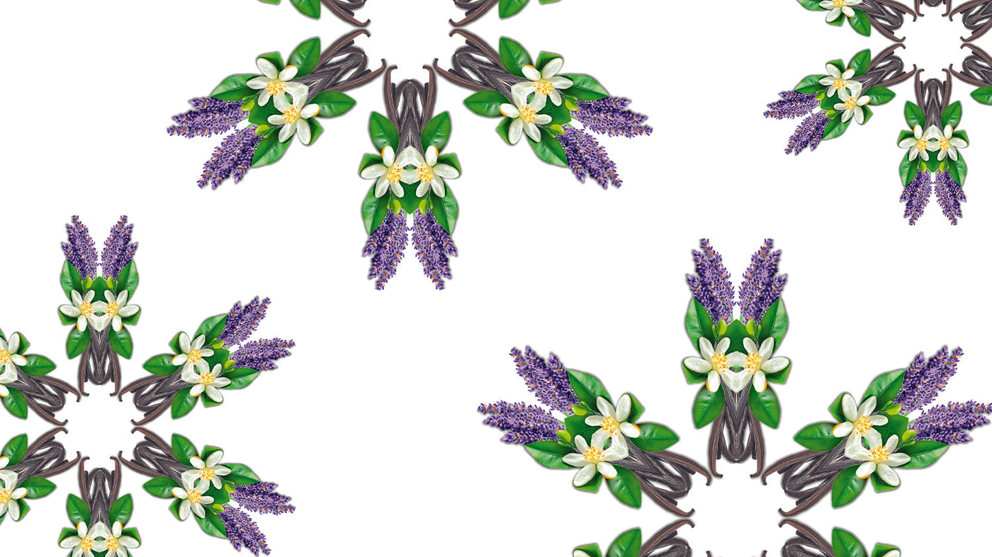 Lumière Florale