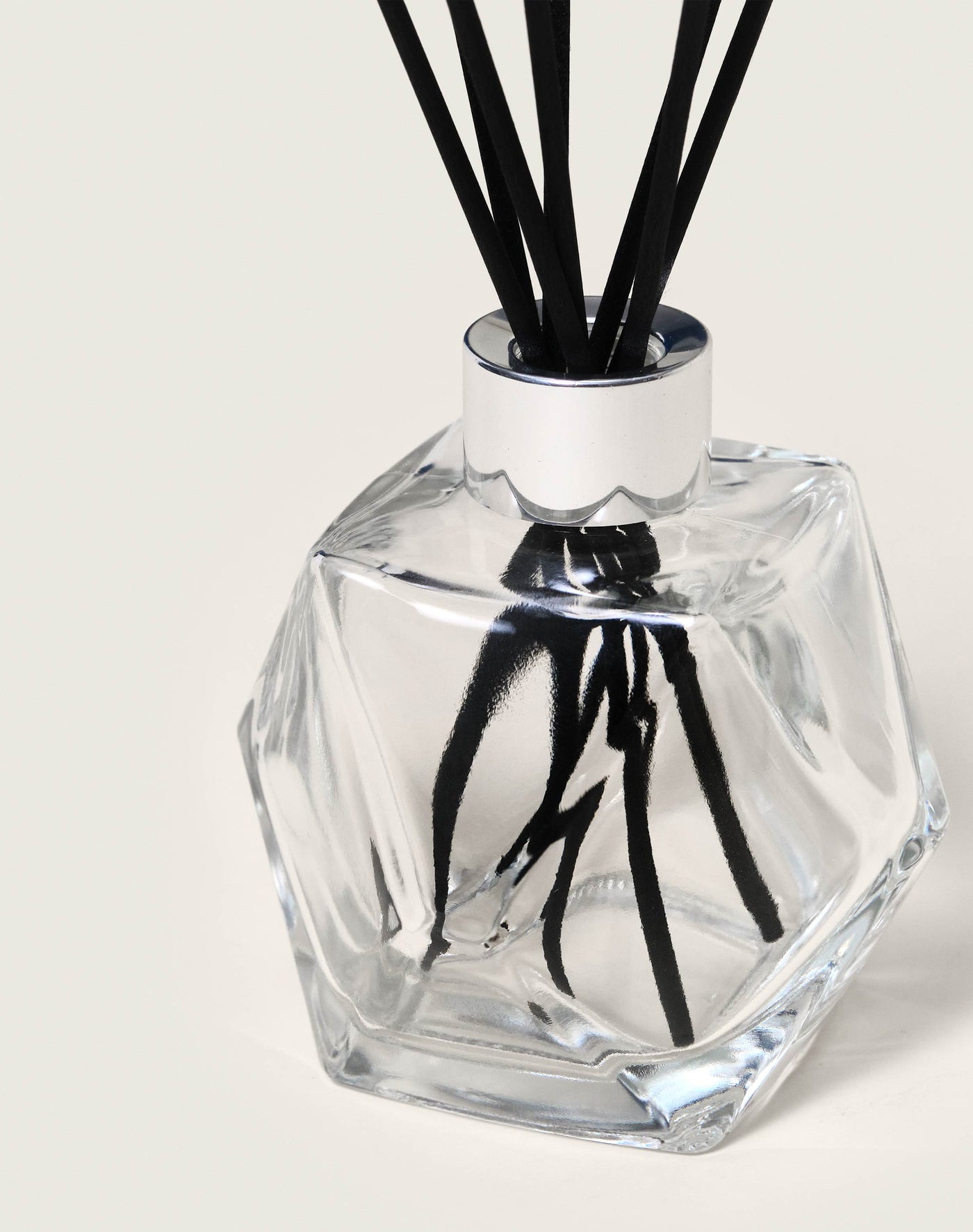 Bouquet Geometry Transparent