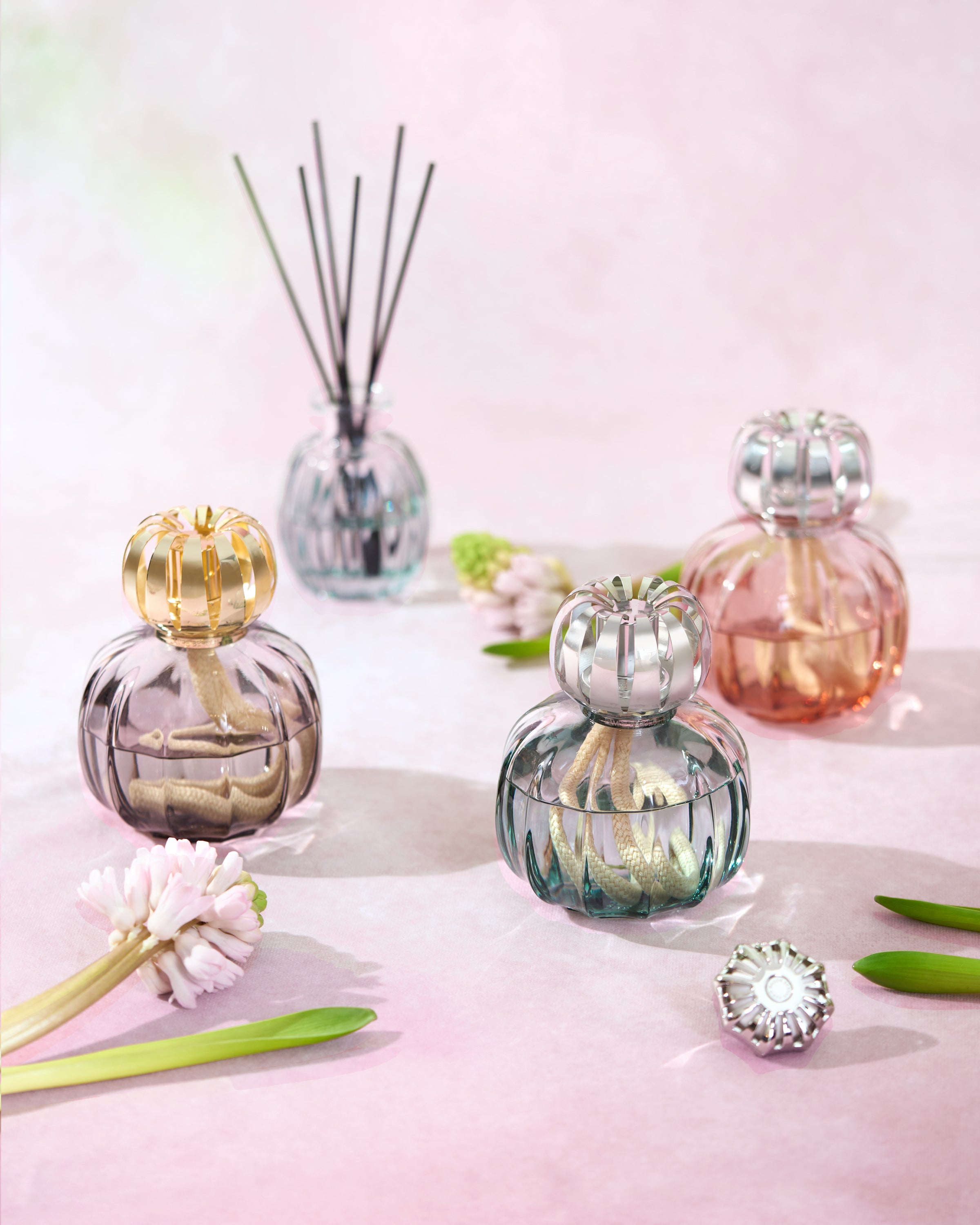 Nueva colección: Corali