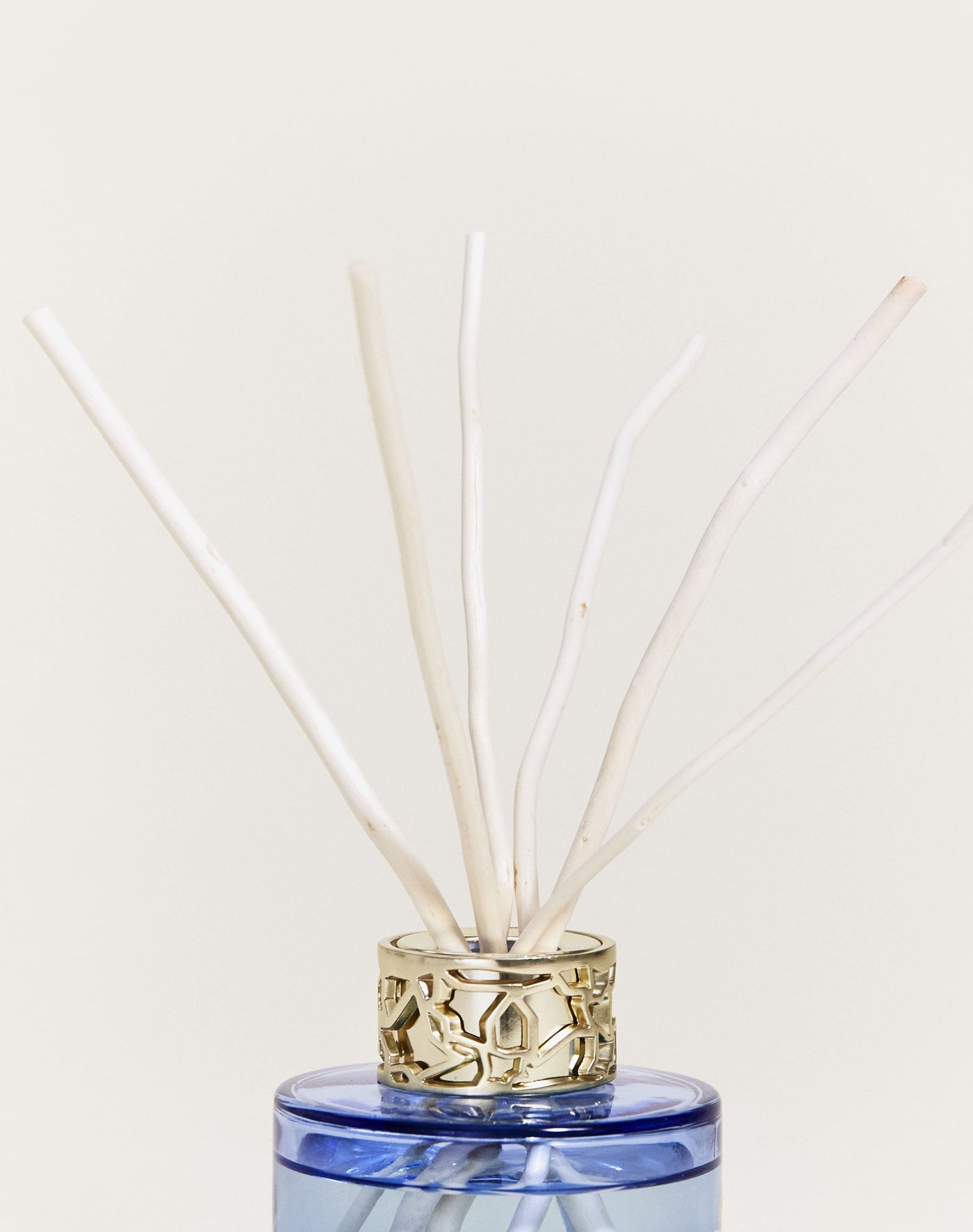Dúo mini Bouquet & Vela Lolita Lempicka Parme